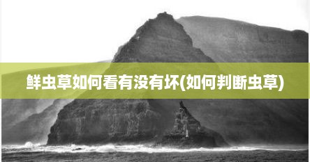 鲜虫草如何看有没有坏(如何判断虫草)