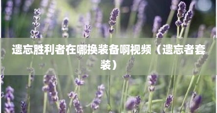 遗忘胜利者在哪换装备啊视频（遗忘者套装）