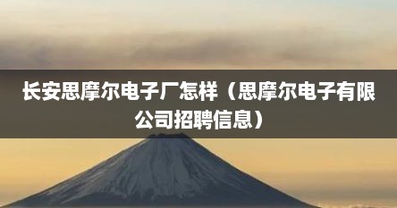 长安思摩尔电子厂怎样（思摩尔电子有限公司招聘信息）