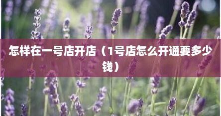 怎样在一号店开店（1号店怎么开通要多少钱）