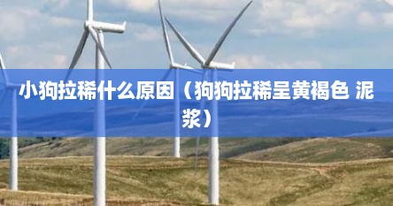 小狗拉稀什么原因（狗狗拉稀呈黄褐色 泥浆）
