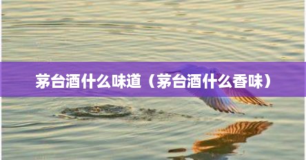 茅台酒什么味道（茅台酒什么香味）
