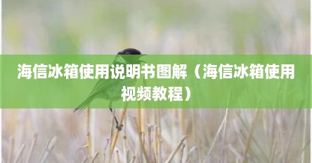 海信冰箱使用说明书图解（海信冰箱使用视频教程）
