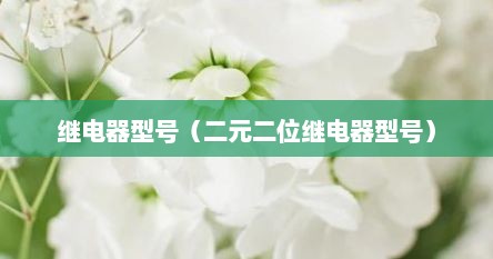继电器型号（二元二位继电器型号）