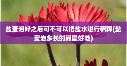 盐蛋泡好之后可不可以把盐水进行稀释(盐蛋泡多长时间最好吃)