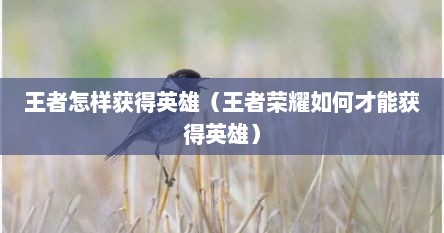 王者怎样获得英雄（王者荣耀如何才能获得英雄）