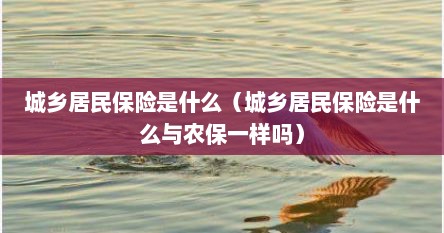 城乡居民保险是什么（城乡居民保险是什么与农保一样吗）