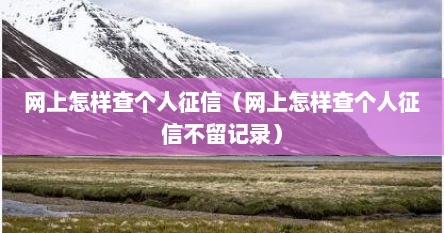 网上怎样查个人征信（网上怎样查个人征信不留记录）