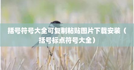 括号符号大全可复制粘贴图片下载安装（括号标点符号大全）