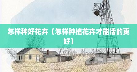 怎样种好花卉（怎样种植花卉才能活的更好）