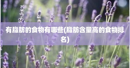 有脂肪的食物有哪些(脂肪含量高的食物排名)