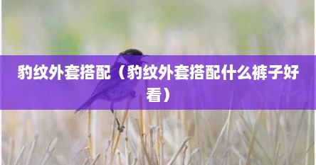 豹纹外套搭配（豹纹外套搭配什么裤子好看）