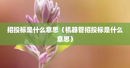 招投标是什么意思（机器管招投标是什么意思）