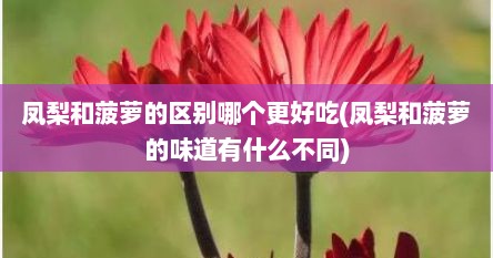 凤梨和菠萝的区别哪个更好吃(凤梨和菠萝的味道有什么不同)