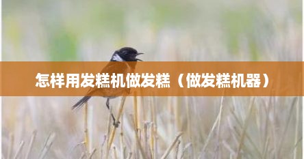 怎样用发糕机做发糕（做发糕机器）