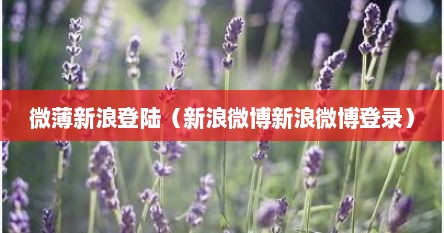 微薄新浪登陆（新浪微博新浪微博登录）