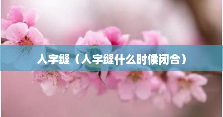人字缝（人字缝什么时候闭合）