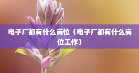 电子厂都有什么岗位（电子厂都有什么岗位工作）