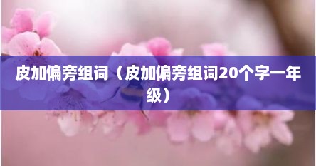 皮加偏旁组词（皮加偏旁组词20个字一年级）