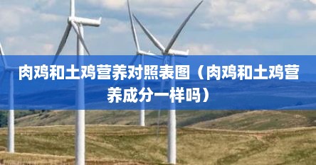 肉鸡和土鸡营养对照表图（肉鸡和土鸡营养成分一样吗）