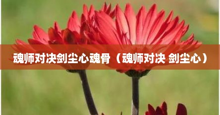 魂师对决剑尘心魂骨（魂师对决 剑尘心）