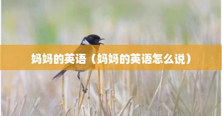 妈妈的英语（妈妈的英语怎么说）