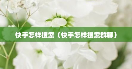 快手怎样搜索（快手怎样搜索群聊）