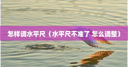 怎样调水平尺（水平尺不准了 怎么调整）