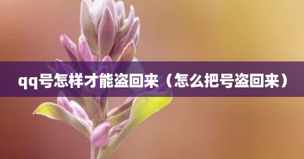 qq号怎样才能盗回来（怎么把号盗回来）