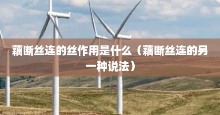 藕断丝连的丝作用是什么（藕断丝连的另一种说法）