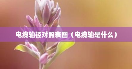 电缆轴径对照表图（电缆轴是什么）