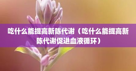 吃什么能提高新陈代谢（吃什么能提高新陈代谢促进血液循环）