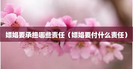 嫖娼要承担哪些责任（嫖娼要付什么责任）