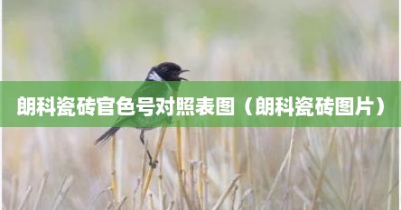 朗科瓷砖官色号对照表图（朗科瓷砖图片）