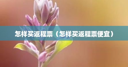 怎样买返程票（怎样买返程票便宜）