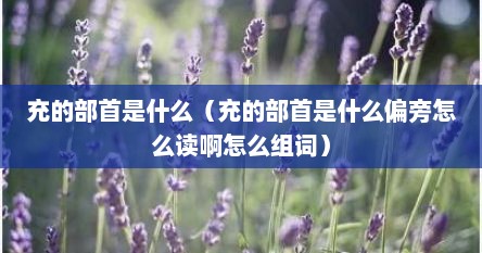 充的偏旁部首是什么（充的部首和结构是什么）