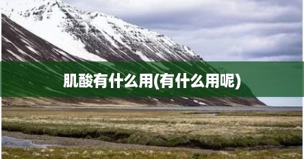 肌酸有什么用(有什么用呢)