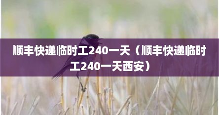 顺丰快递临时工240一天（顺丰快递临时工240一天西安）