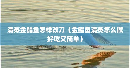 清蒸金鲳鱼怎样改刀（金鲳鱼清蒸怎么做好吃又简单）