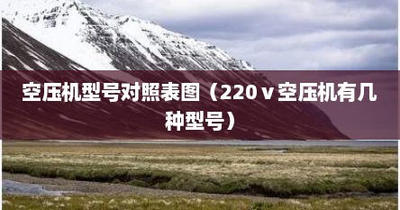 空压机型号对照表图（220ⅴ空压机有几种型号）
