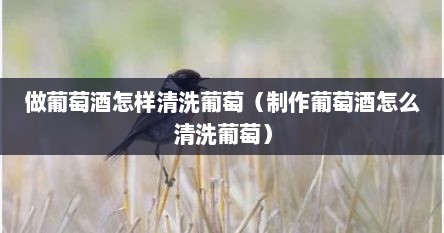 做葡萄酒怎样清洗葡萄（制作葡萄酒怎么清洗葡萄）