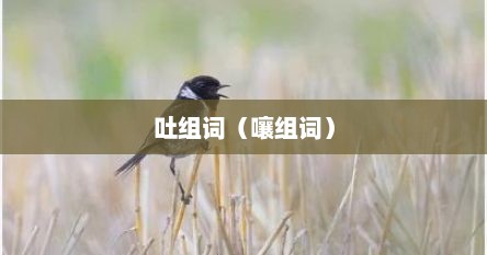 吐组词（嚷组词）