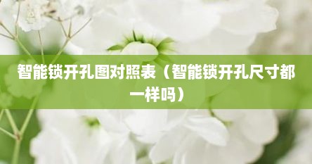 智能锁开孔图对照表（智能锁开孔尺寸都一样吗）