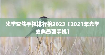 光学变焦手机排行榜2023（2021年光学变焦最强手机）