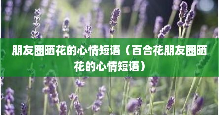 朋友圈晒花的心情短语（百合花朋友圈晒花的心情短语）