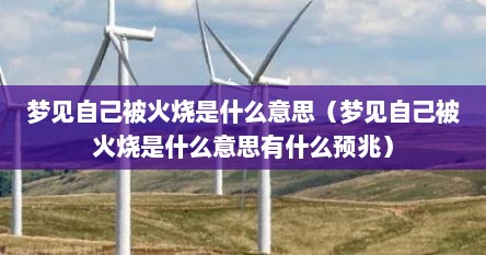 梦见自己被火烧是什么意思（梦见自己被火烧是什么意思有什么预兆）
