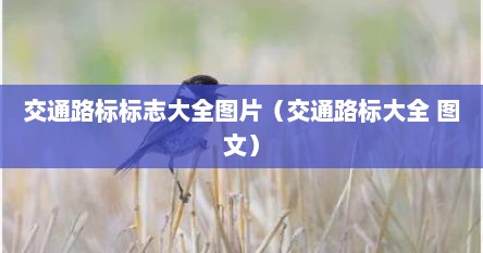 交通路标标志大全图片（交通路标大全 图文）