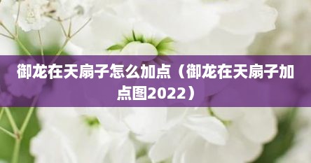 御龙在天扇子怎么加点（御龙在天扇子加点图2022）