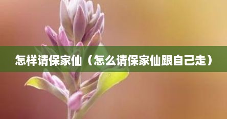 怎样请保家仙（怎么请保家仙跟自己走）