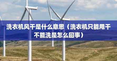 洗衣机风干是什么意思（洗衣机只能甩干不能洗是怎么回事）